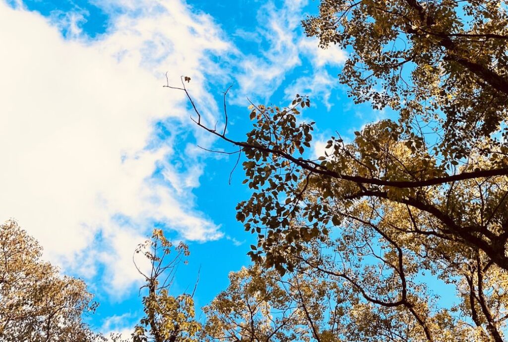 新年挨拶 エクステリア