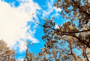 新年挨拶 エクステリア